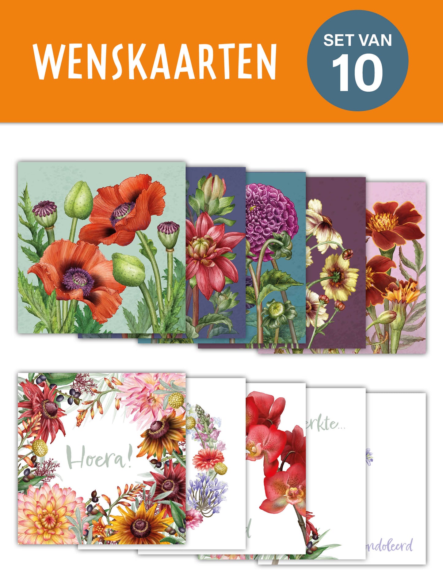 Wenskaarten | diverse soorten en pakketten