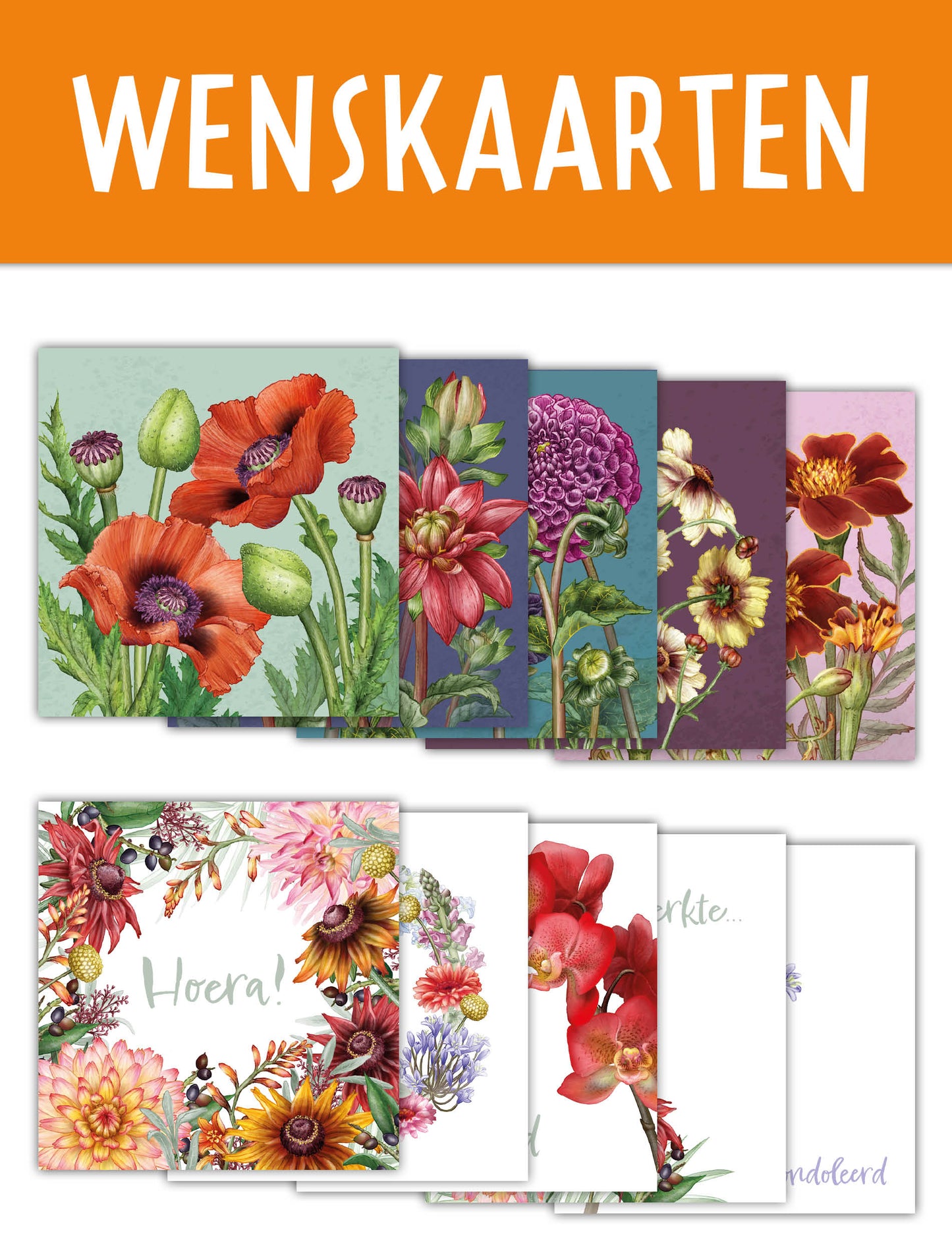 Wenskaarten | diverse soorten en pakketten